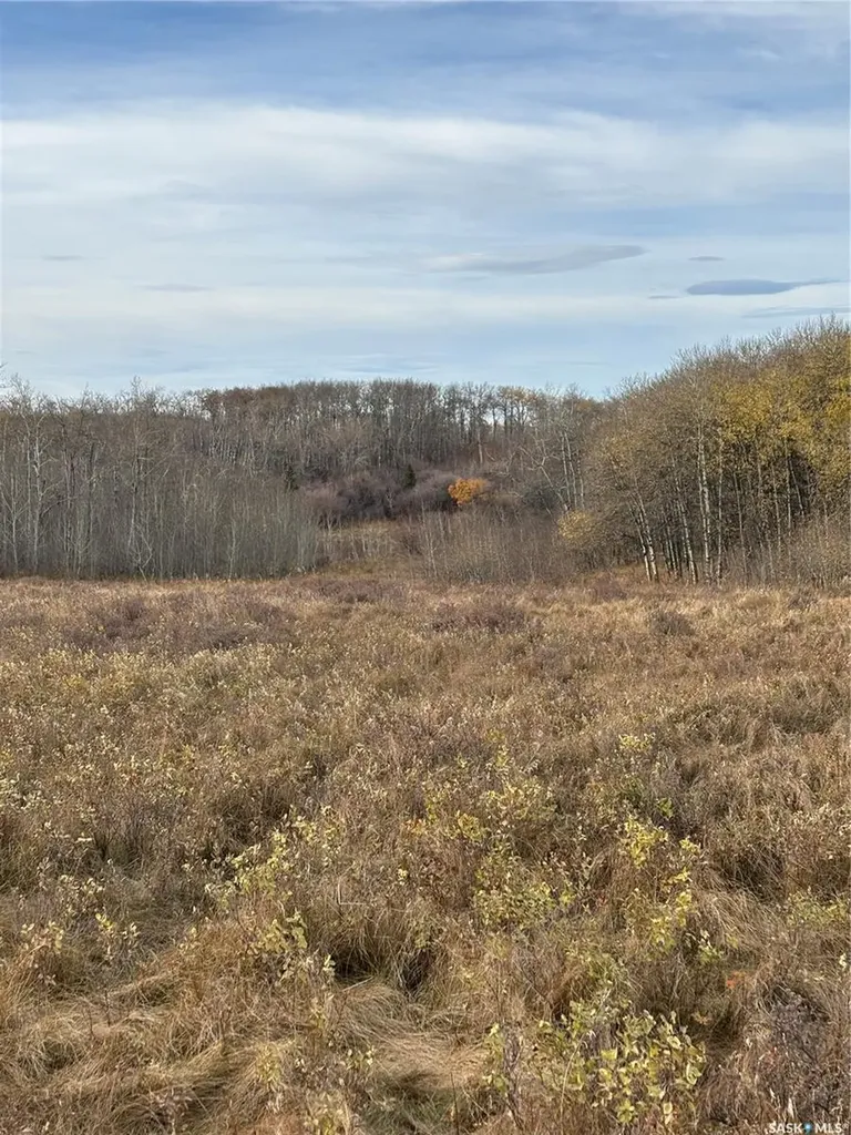 Rural Address Maple Creek Rm No. 111 SK S0N 0T0