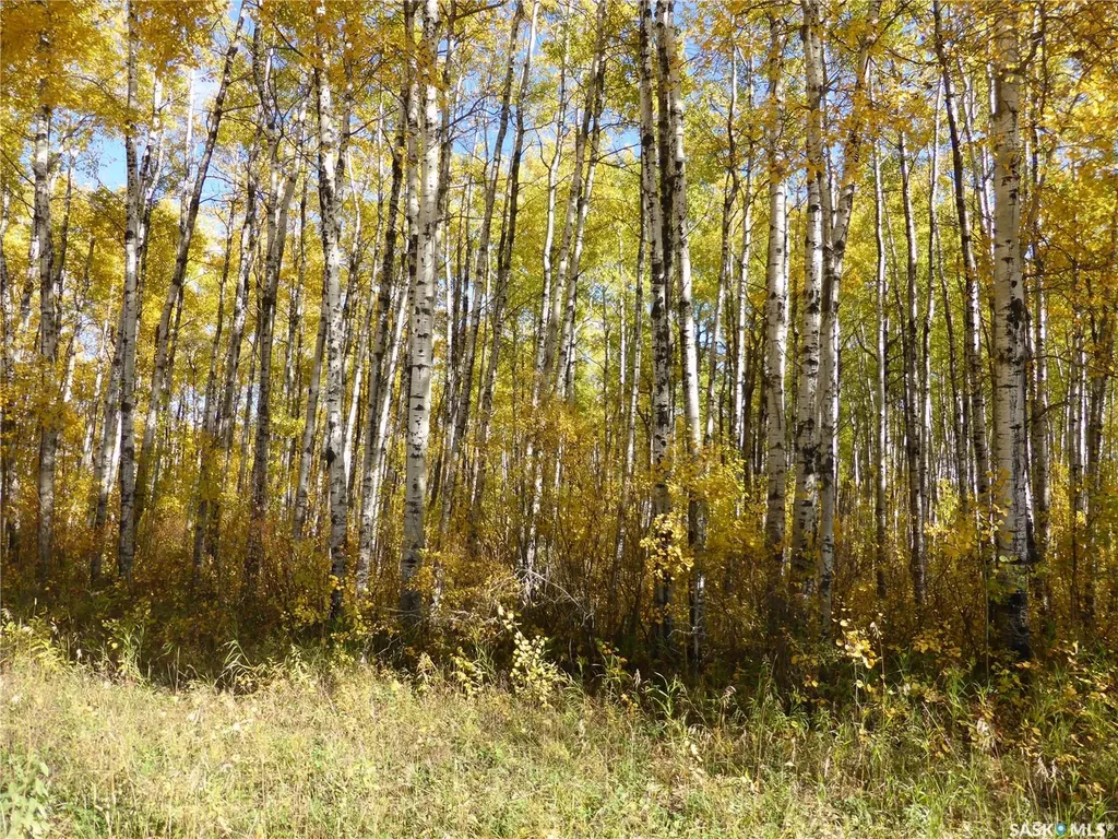 Rural Address Meadow Lake Rm No.588 SK S0M 2M0