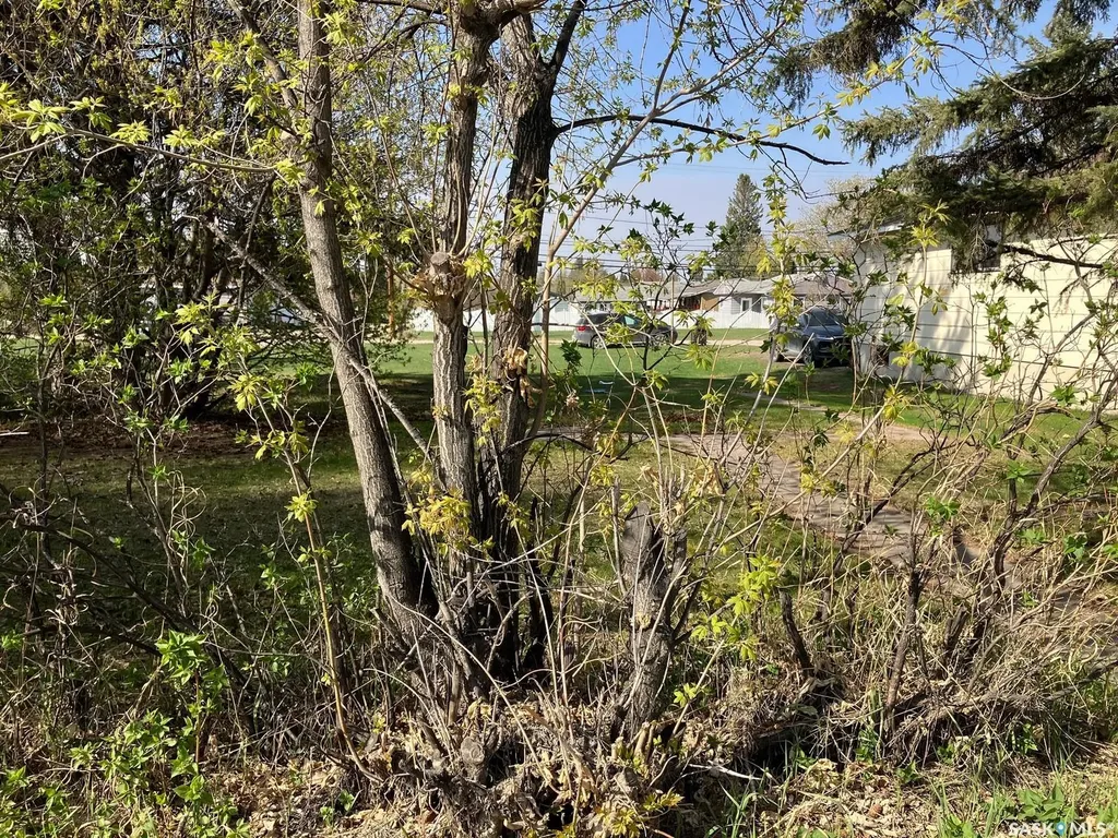 307 Nipawin Road E Nipawin SK S0E 1E0