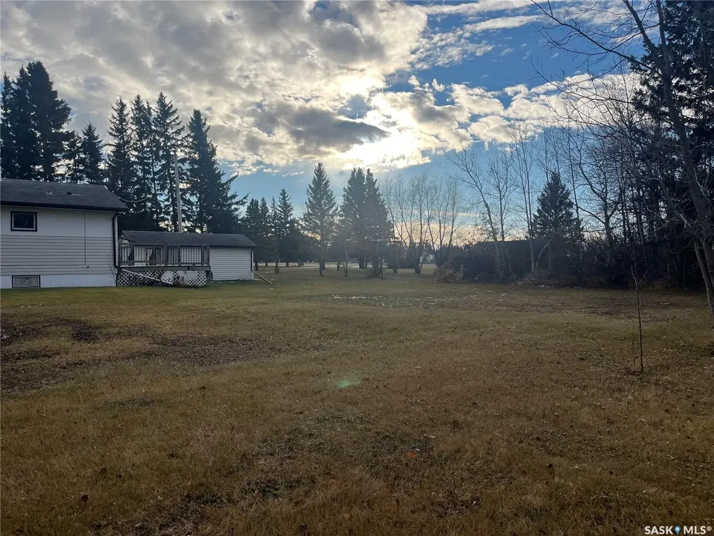 405 Nelson Avenue Rose Valley SK S0E 1M0