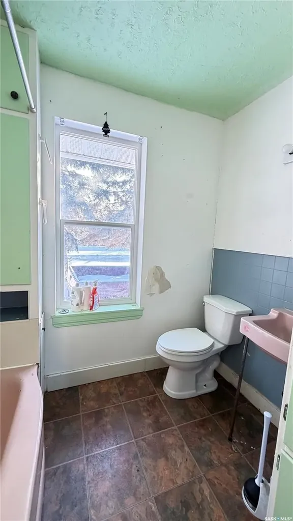 260 Ferguson Street Craik SK S0G 0V0
