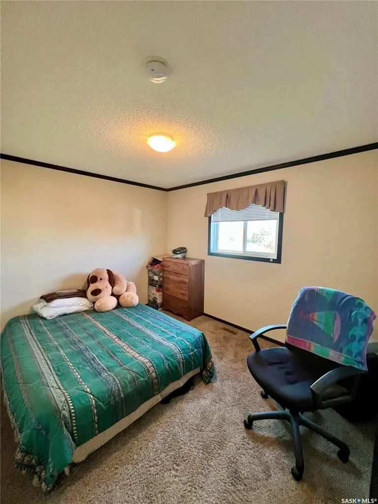 42 2nd Street Tompkins SK S0N 2S0