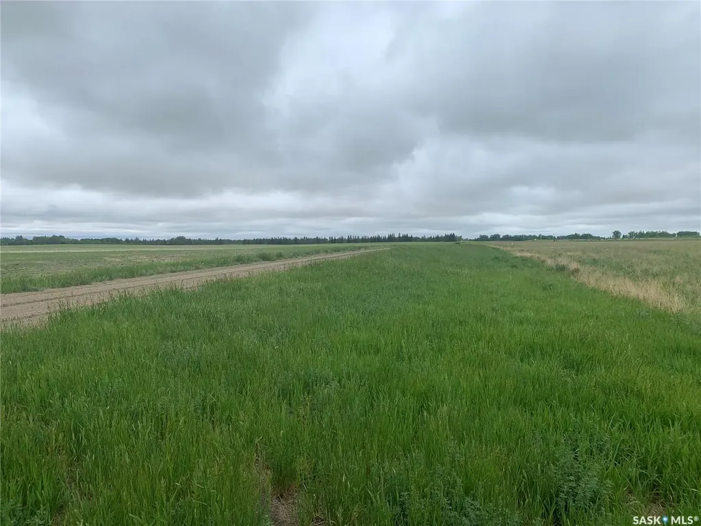 Rural Address Pilot Butte SK S0G 4A0