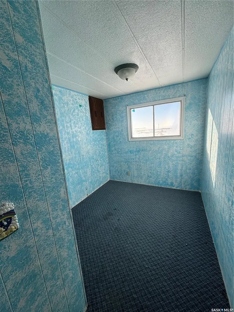 194 Heward Street Creelman SK S0C 0X0