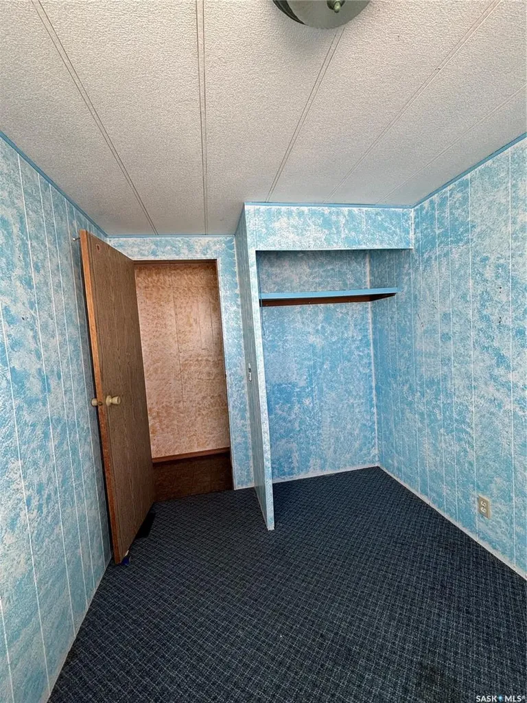 194 Heward Street Creelman SK S0C 0X0