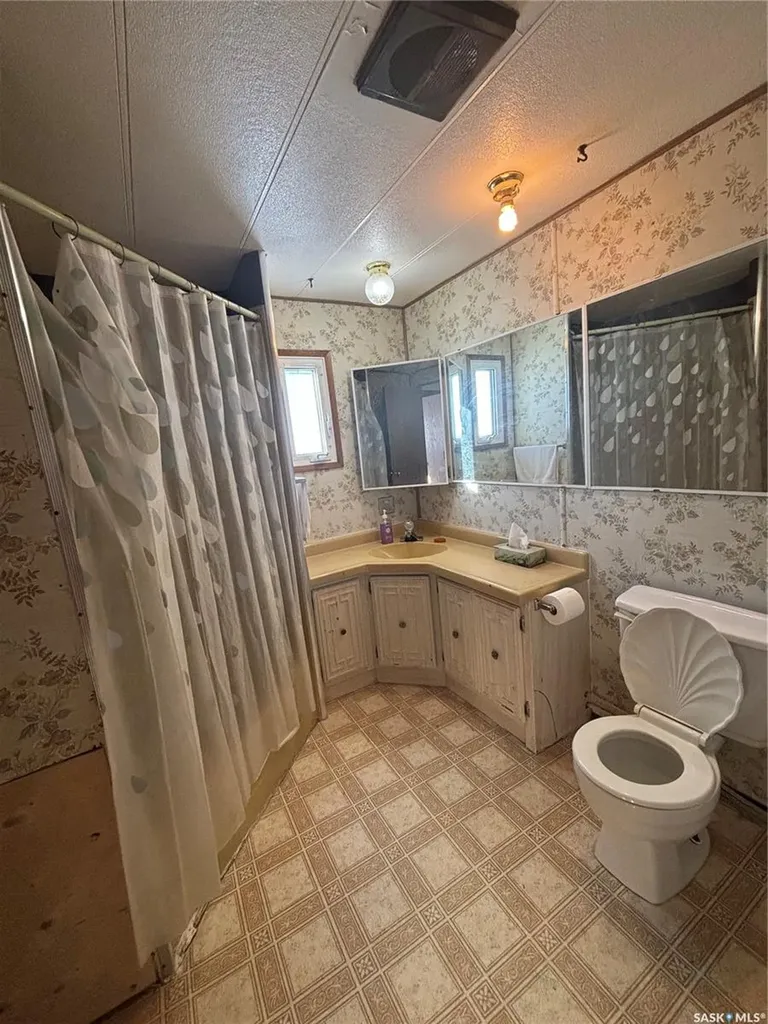 194 Heward Street Creelman SK S0C 0X0
