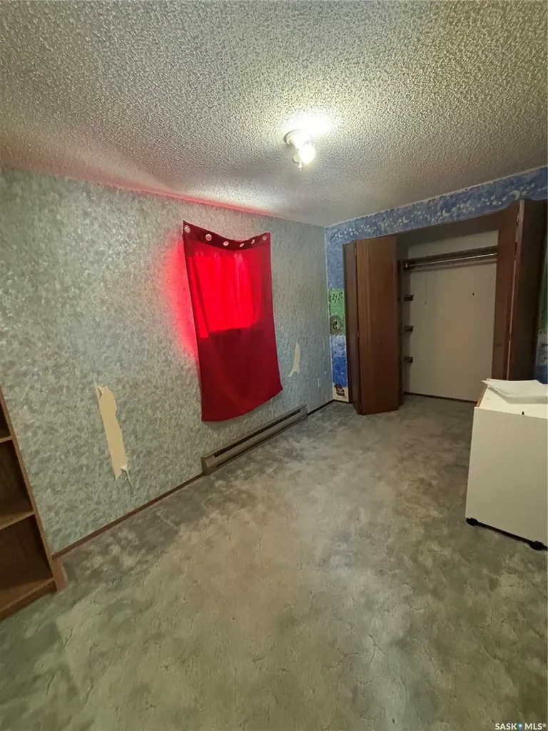194 Heward Street Creelman SK S0C 0X0