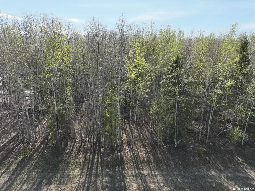102 Aspen Way Candle Lake SK S0J 3E0
