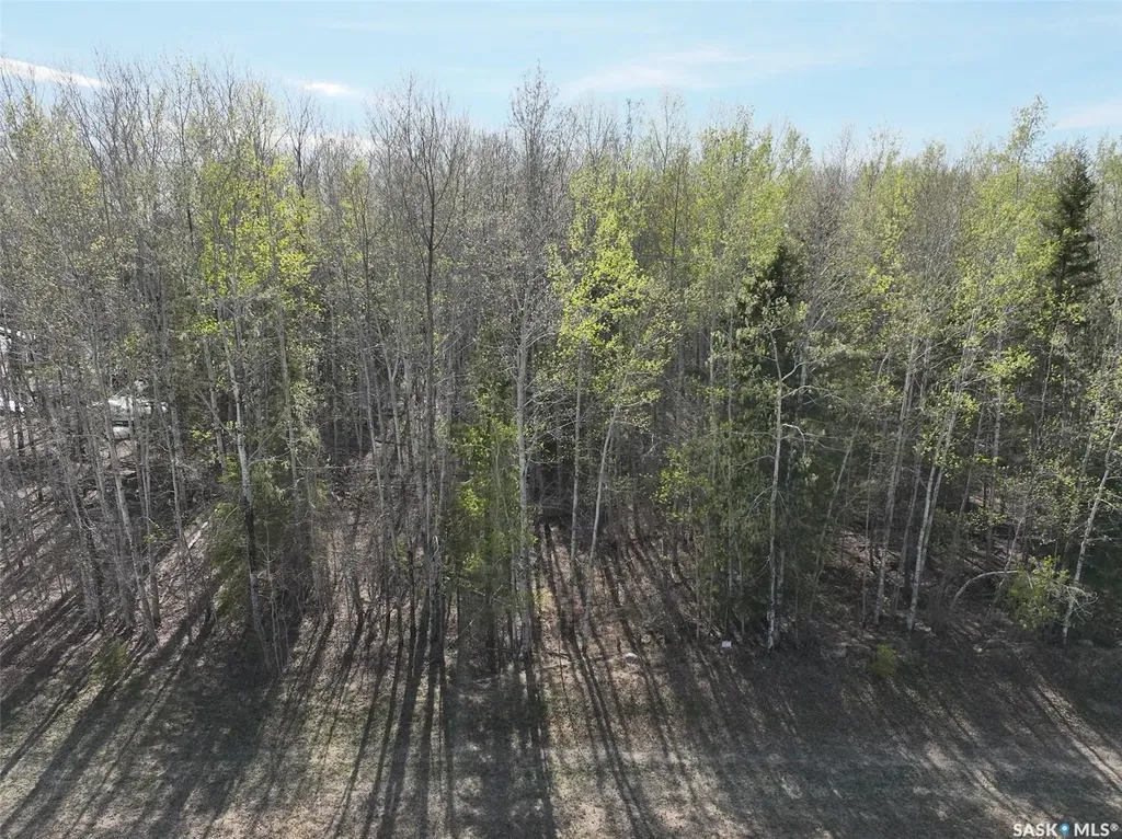 102 Aspen Way Candle Lake SK S0J 3E0