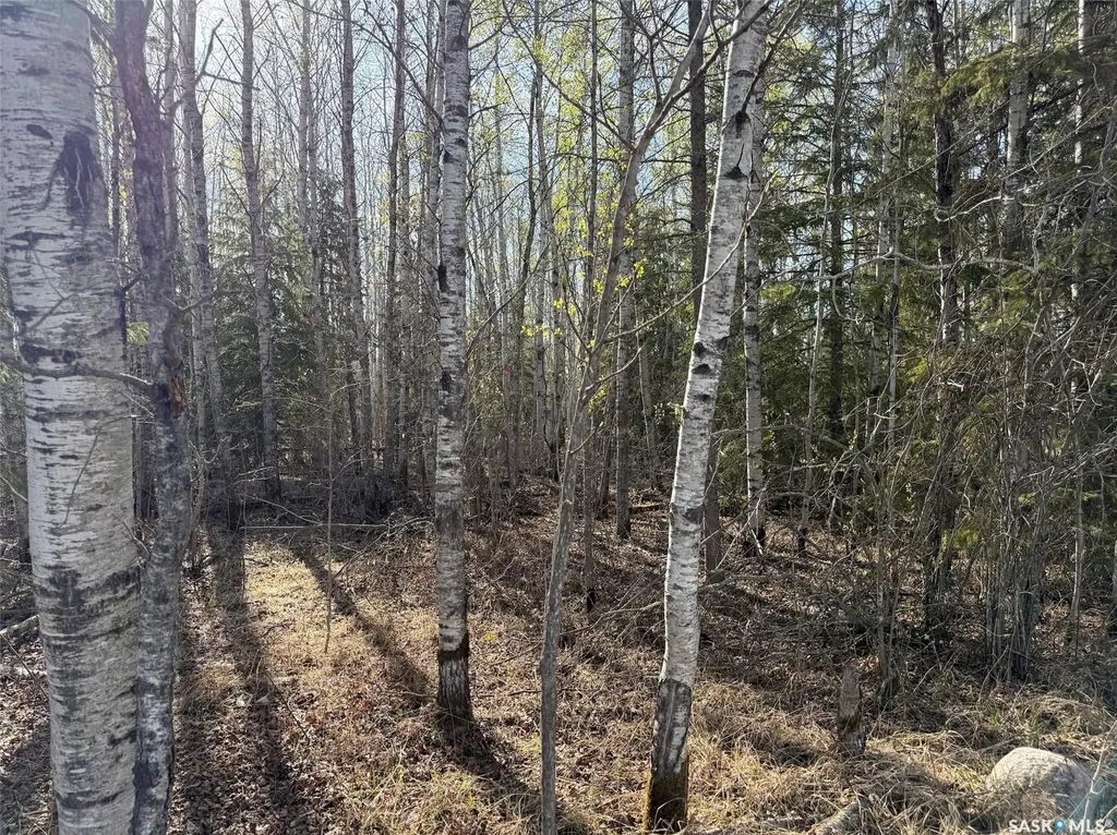 102 Aspen Way Candle Lake SK S0J 3E0