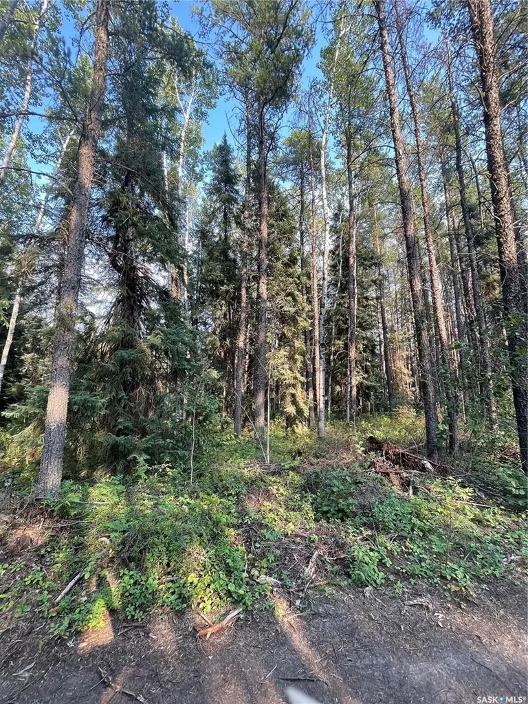 Rural Address Hudson Bay Rm No. 394 SK S0E 0Y0