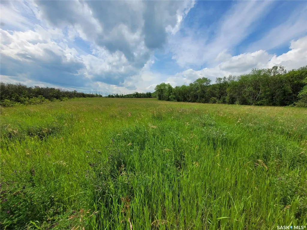 Rural Address Fertile Belt Rm No. 183 SK S0A 0X0