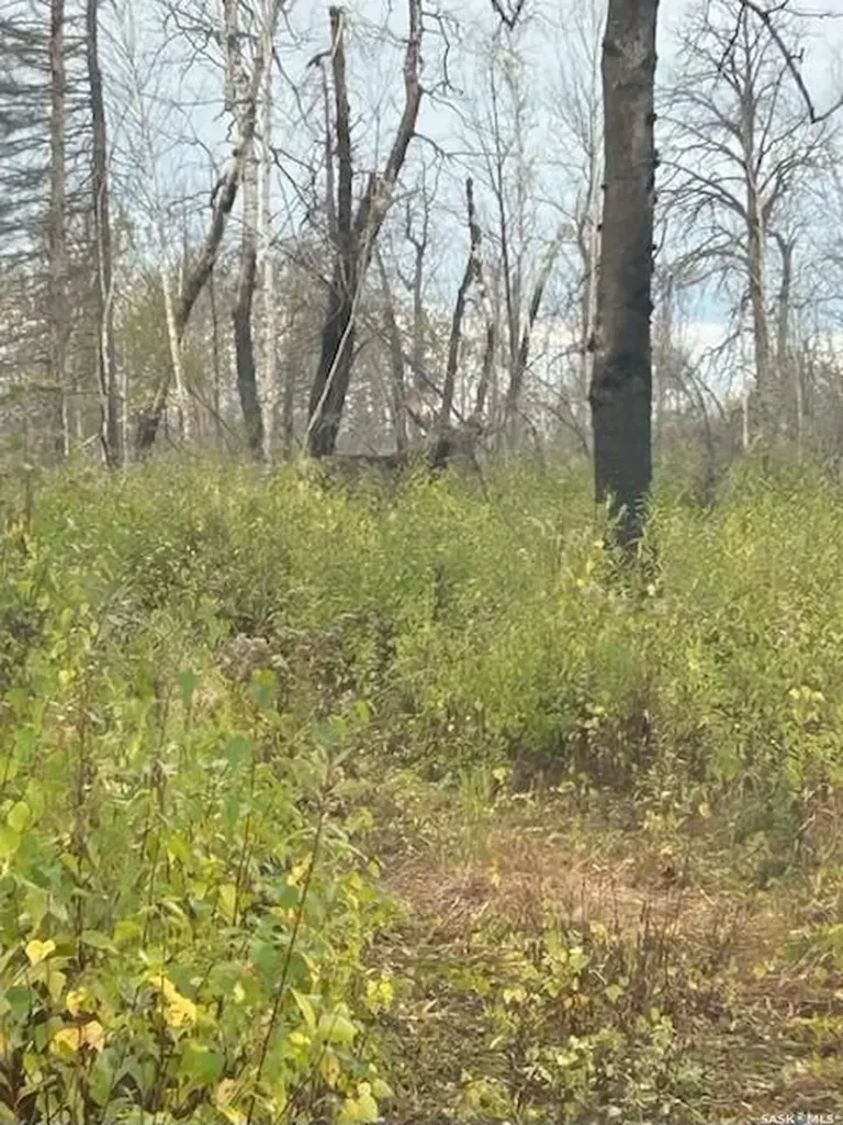Rural Address Hudson Bay Rm No. 394 SK S0E 0L0