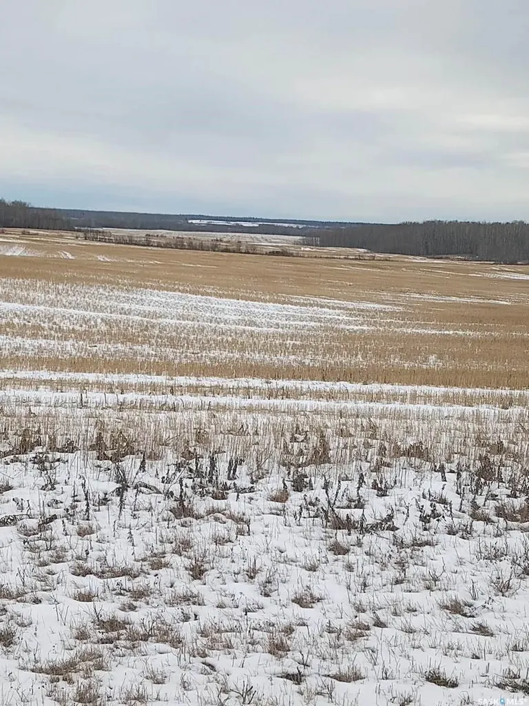 Rural Address Endeavour SK S0A 0W0