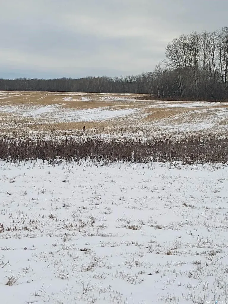 Rural Address Endeavour SK S0A 0W0