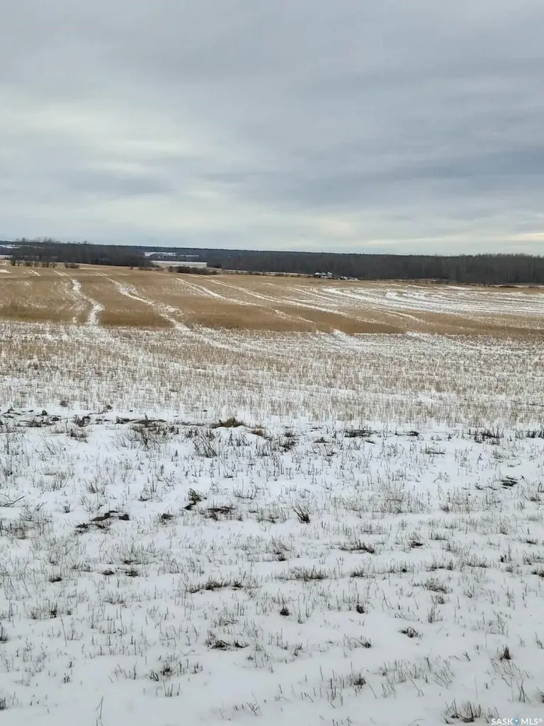 Rural Address Endeavour SK S0A 0W0