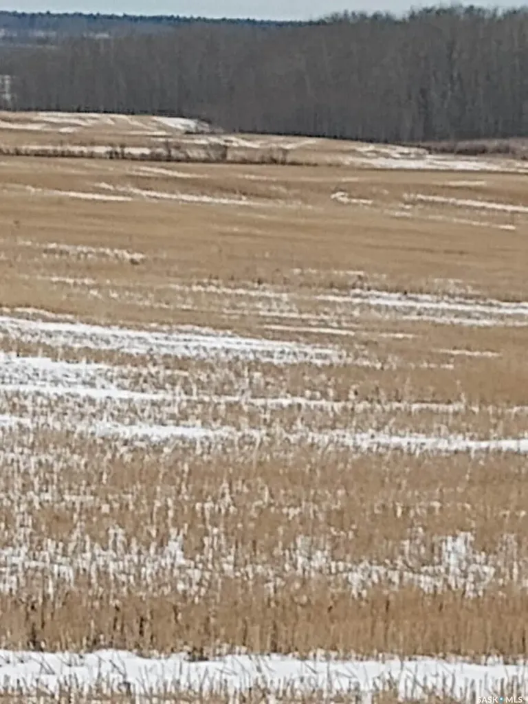 Rural Address Endeavour SK S0A 0W0