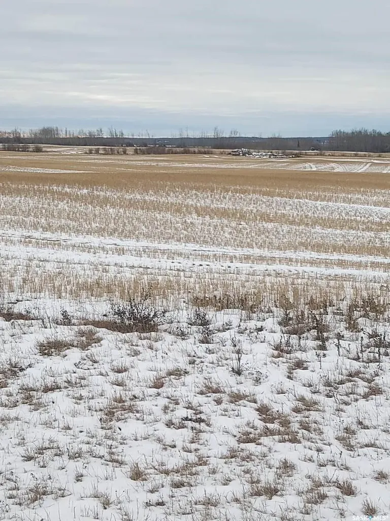 Rural Address Endeavour SK S0A 0W0