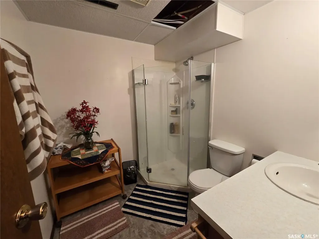 106 Alexander Bay Kipling SK S0G 2S0