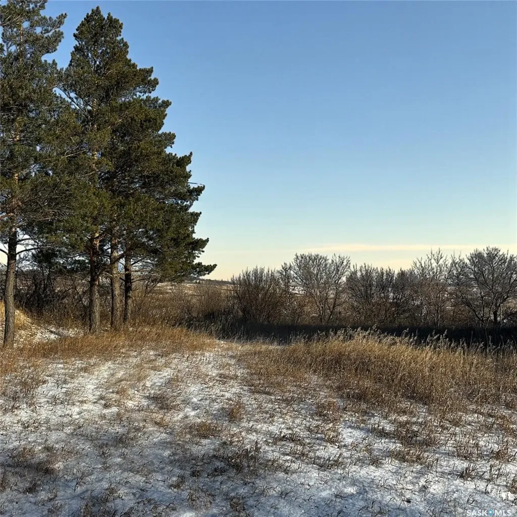 3.15 Acre Rural Address Longlaketon Rm No. 219 SK S0G 0J5