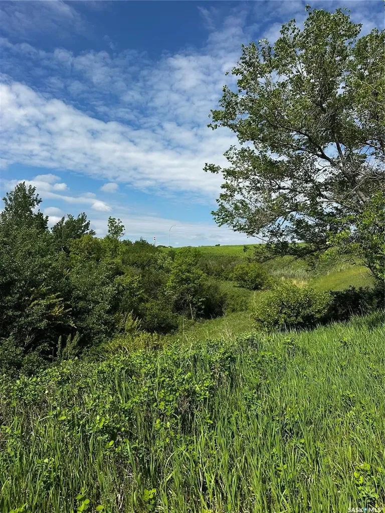 3.15 Acre Rural Address Longlaketon Rm No. 219 SK S0G 0J5