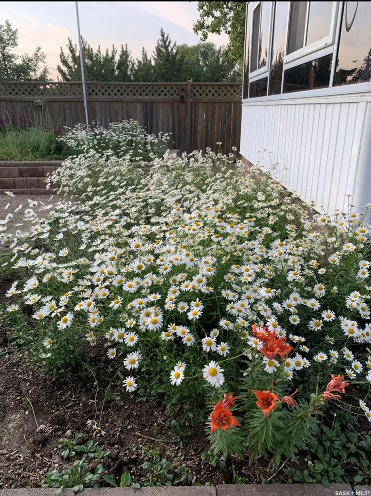 449 Martin Street Burstall SK S0N 0H0