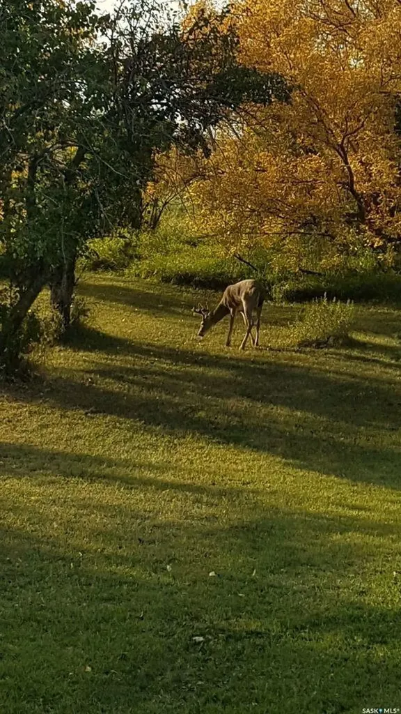 1000 Railway Avenue W Foam Lake SK S0A 1A0