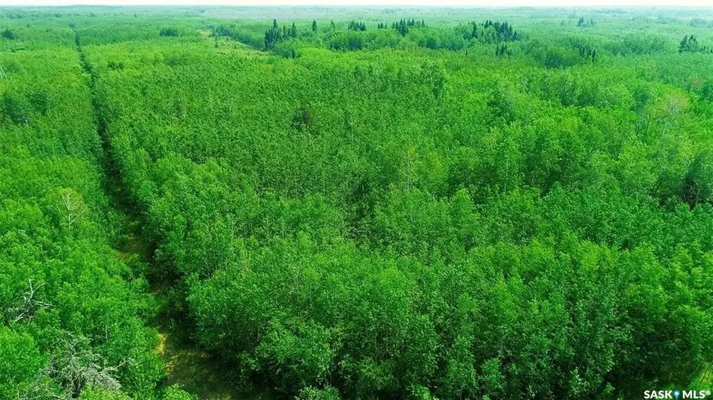 Rural Address Torch River Rm No. 488 SK S0J 3B0
