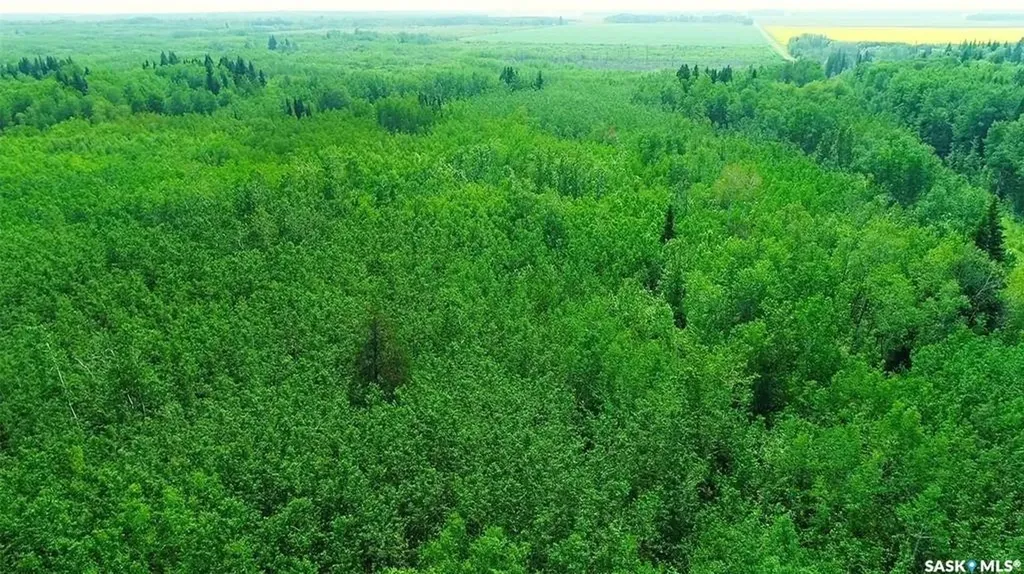 Rural Address Torch River Rm No. 488 SK S0J 3B0