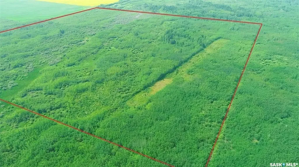 Rural Address Torch River Rm No. 488 SK S0J 3B0