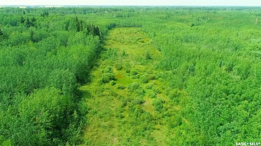Rural Address Torch River Rm No. 488 SK S0J 3B0