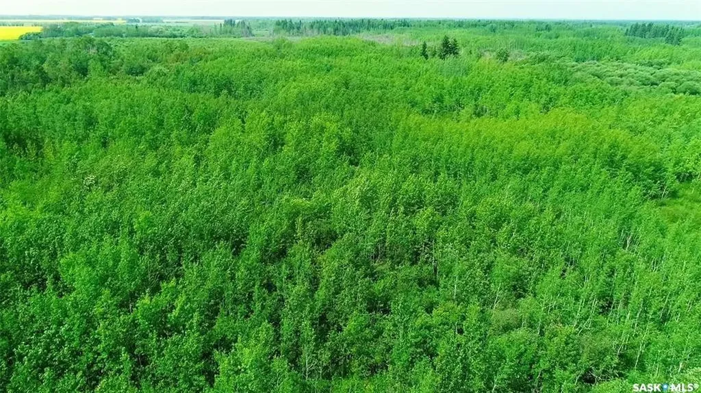 Rural Address Torch River Rm No. 488 SK S0J 3B0