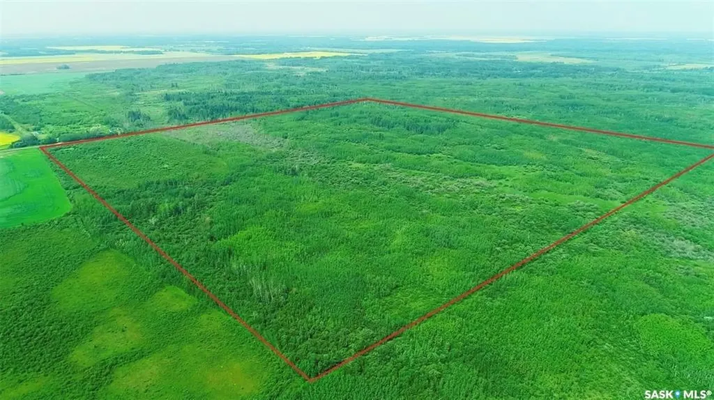 Rural Address Torch River Rm No. 488 SK S0J 3B0