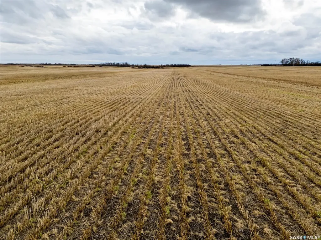 Rural Address Benson Rm No. 35 SK S0C 1P0