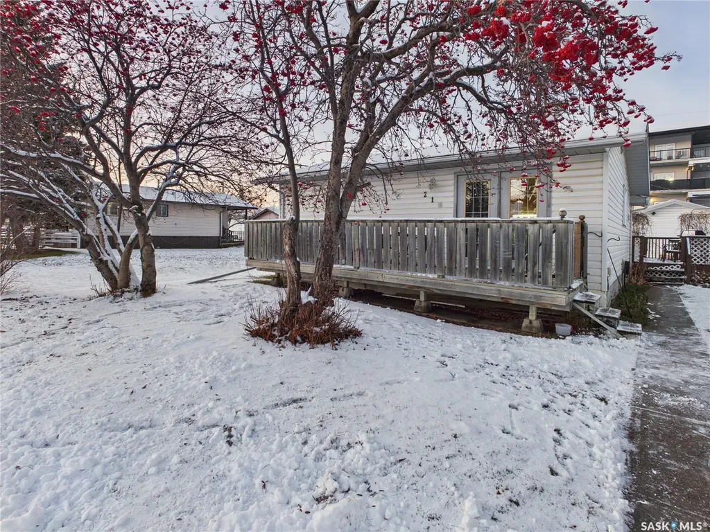 213 Stevens Avenue Birch Hills SK S0J 0G0
