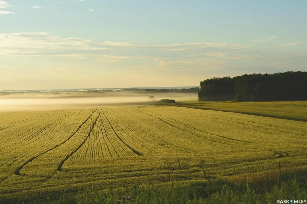 Rural Address Prince Albert Rm No. 461 SK S6V 5P9