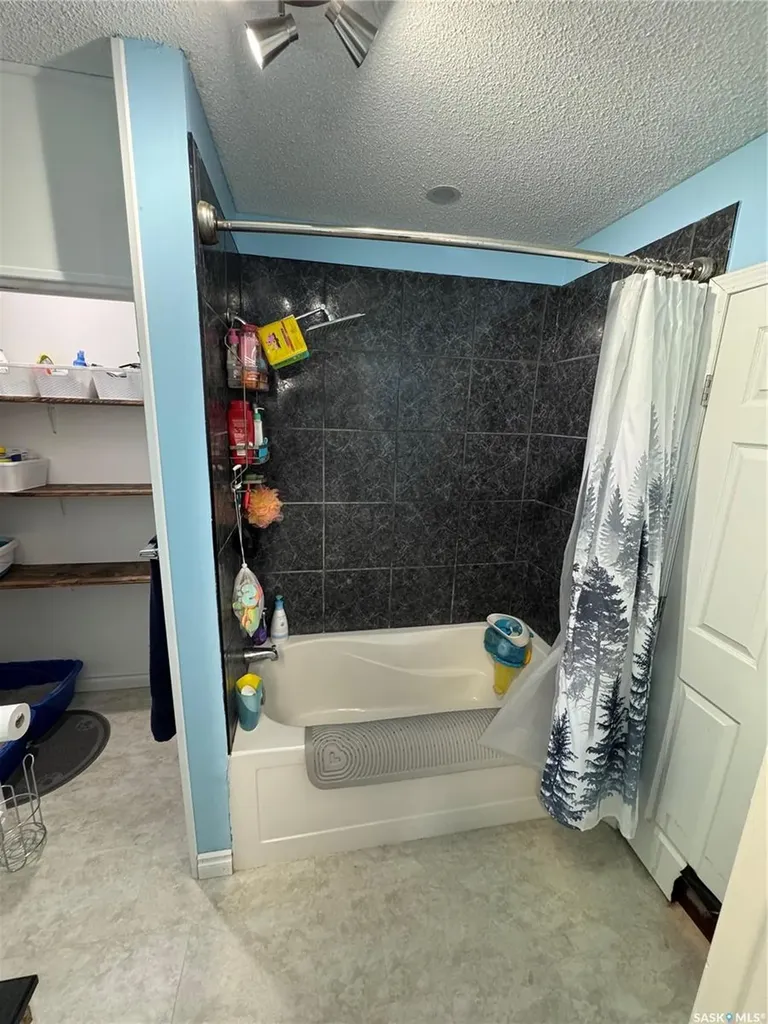 116 Elizabeth Avenue Naicam SK S0K 2Z0