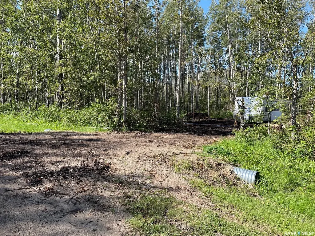 7 Buffalo Pound Road Big River Rm No. 555 SK S0J 0E0