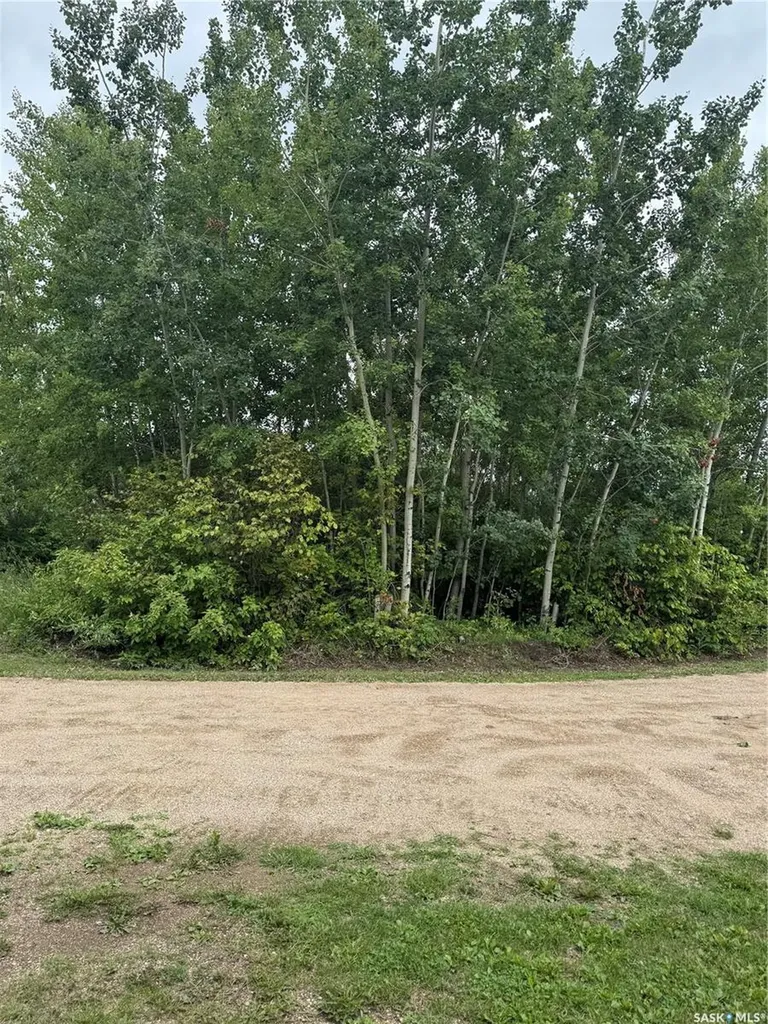 808 Potter Crescent Good Spirit Lake SK S0A 0L0