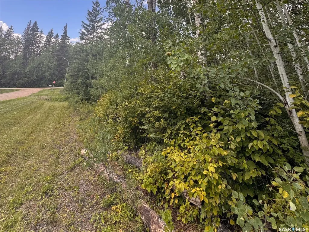 202 Sunrise Crescent Paddockwood Rm No. 520 SK S0J 0N0