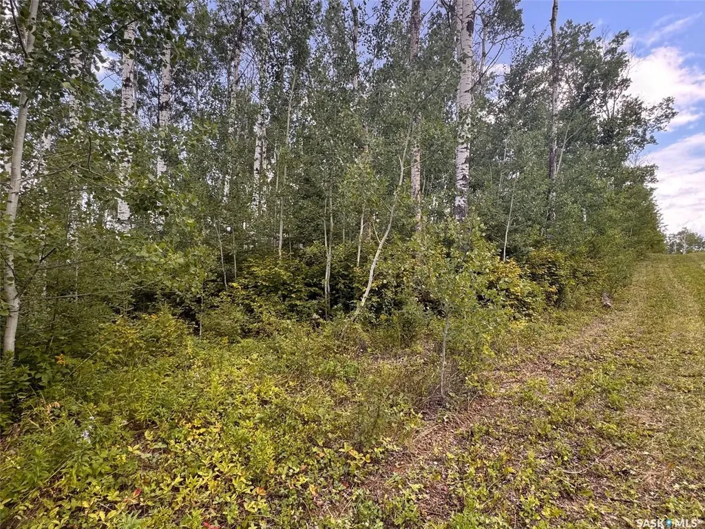 202 Sunrise Crescent Paddockwood Rm No. 520 SK S0J 0N0