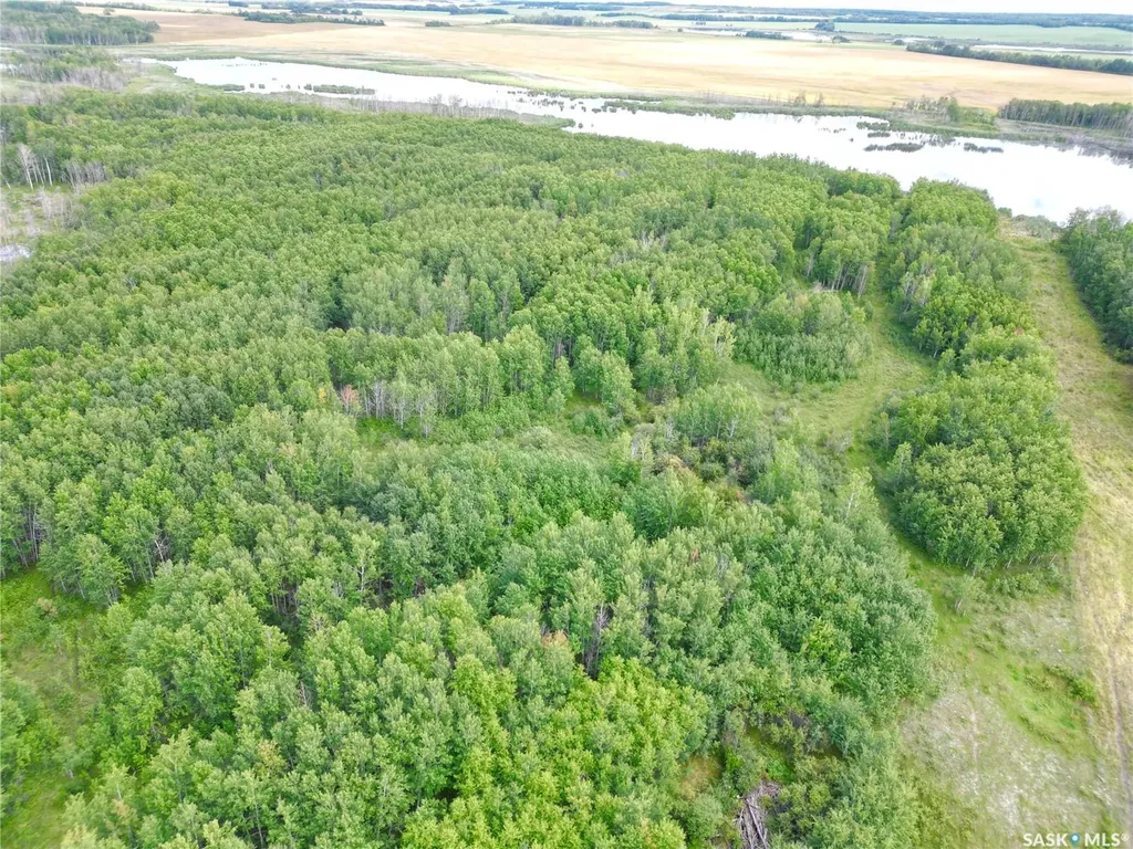 Rural Address Medstead Rm No.497 SK S0M 1W0