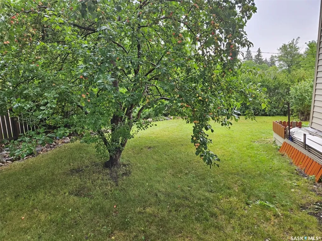 218 7th Street W Carlyle SK S0C 0R0