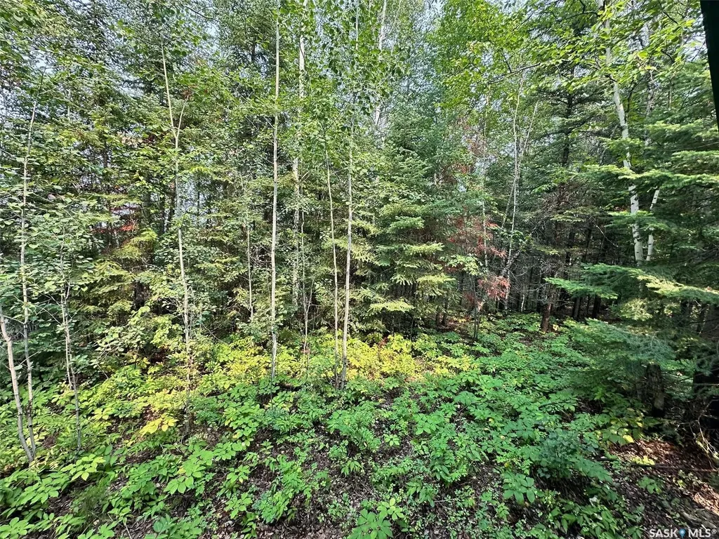 Rural Address Hudson Bay SK S0E 0Y0