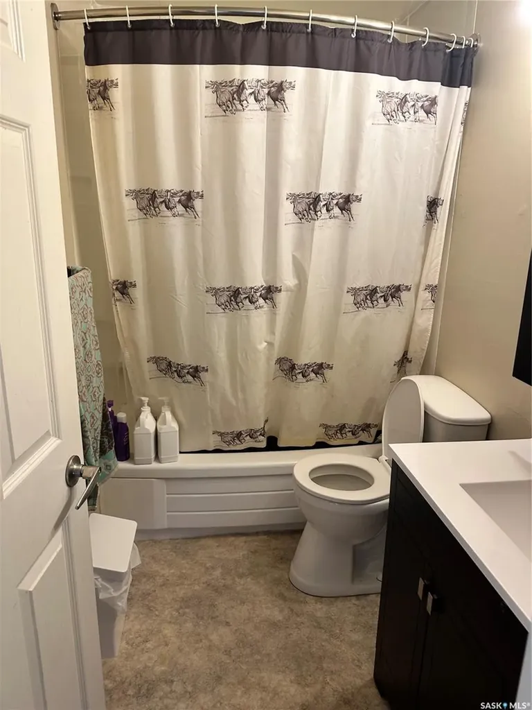 216 1st Street W Carnduff SK S0C 0S0