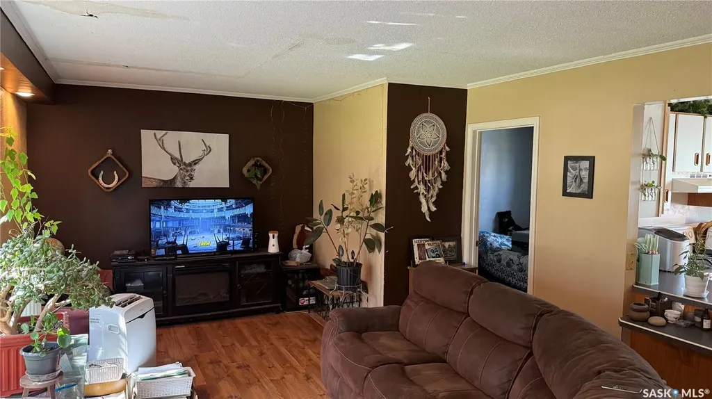 327 Bellamy Avenue Birch Hills SK S0J 0G0