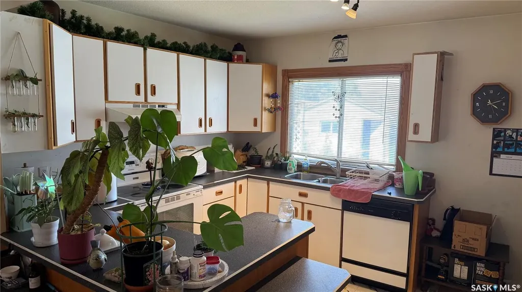 327 Bellamy Avenue Birch Hills SK S0J 0G0