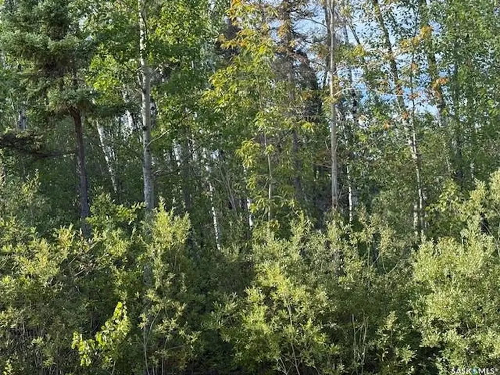 2008 Laronge Avenue La Ronge SK S0J 1L0
