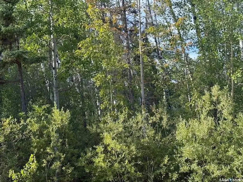 2012 Laronge Avenue La Ronge SK S0J 1L0