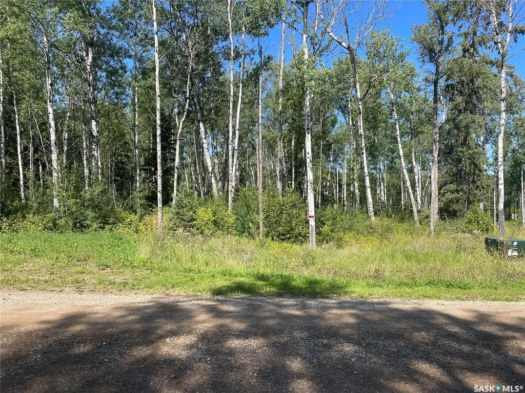 3 Phillips Crescent Big River Rm No. 555 SK S0J 0E0